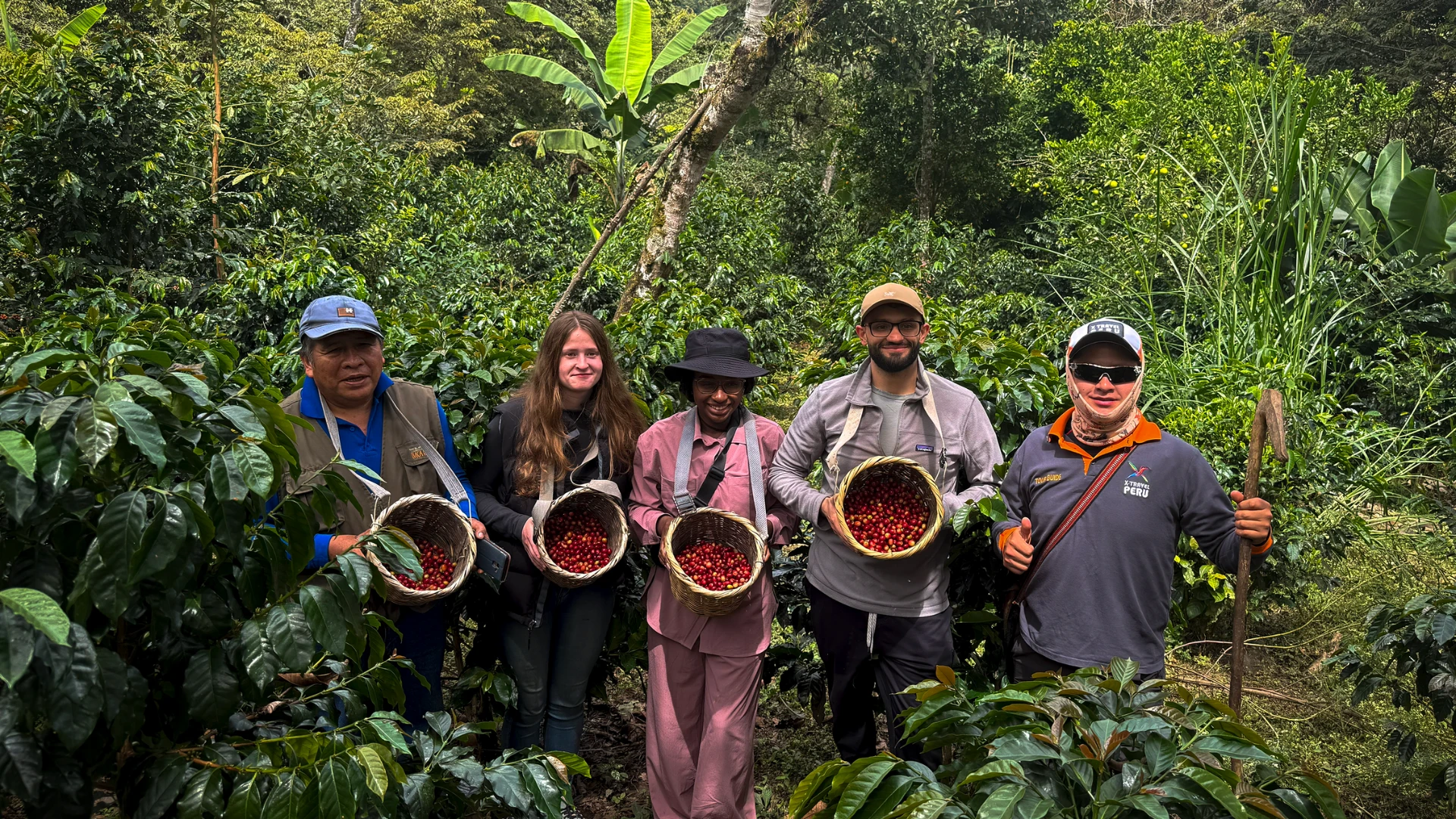 Tour La Ruta del Café – Cultura, Tradición y Paisajes de Ensueño - XTravel Perú