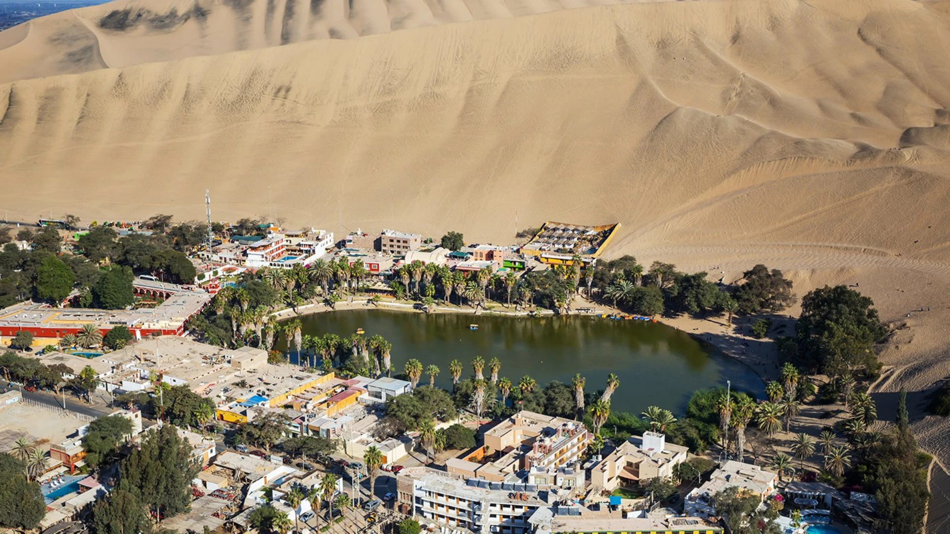 Full Day Paracas – Ica – Huacachina: Islas Ballestas, viñedos y aventura en buggy - XTravel Perú