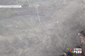 Linia de Nazca2